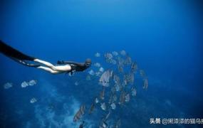 潜水病,自由潜水真的有那么危险吗？
