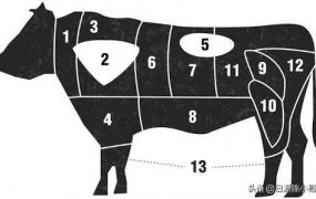 牛腩是牛的哪个部位,哪个部位的牛肉最好吃？怎么做？
