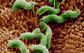 幽门螺杆菌最怕的食物,胃病有幽门螺旋杆菌，怎么办？
