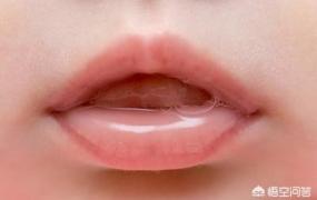唾液的作用,口腔里的唾液有什么作用？