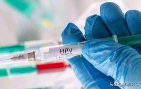 hpv疫苗是什么,hpv疫苗四阶和二阶啥区别？