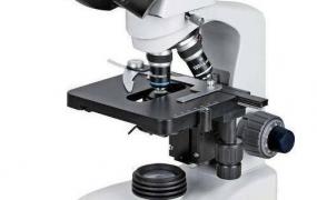 光学显微镜,光学显微镜和放大镜有什么区别？
