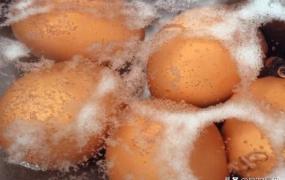 煮荷包蛋用热水还是冷水,煮鸡蛋冷水下锅还是热水下锅好？
