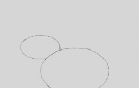 莲蓬简笔画,荷花的画法——荷花的简单画法？