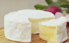奶酪可以做什么好吃的,硬奶酪如何变软？怎么做才好吃？