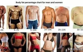 女生体脂,女性体脂比25%是什么状态？