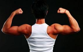 背部拉伸动作图解,如何加强背部的肌肉训练？