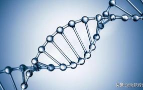 dna分子的结构是什么,DNA的基本骨架由什么构成？