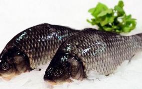 小河鱼怎么做好吃,三、四两重的小鱼怎样做好吃？
