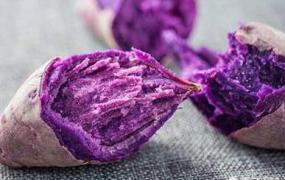 紫薯可以烤着吃吗,吃紫薯会发胖吗？为什么？