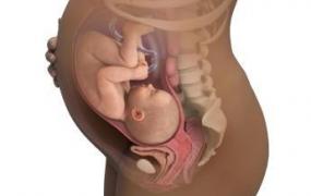 夫妻性生活姿势动态图,胎宝宝一直在动，是缺氧了吗？