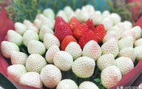 草莓怎么做好吃又简单,草莓可以做成哪些好喝的饮品？
