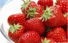 草莓种子图片,草莓的种子是怎么取出来的？