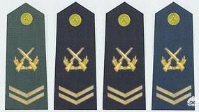四期士官是什么军衔,士官怎样才能晋升为军士长？