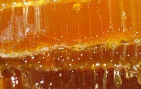  吃蜂蜜能减肥吗