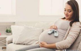 孕妇补铁吃什么食物好,有哪些食物能给孕妇补铁、补钙？