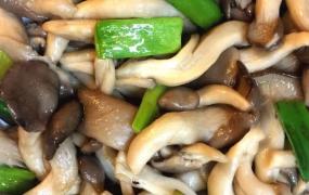 平菇的做法大全家常菜,炒蘑菇怎么做才能香味十足？