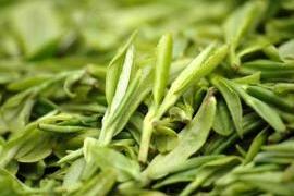 龙井茶好坏的鉴别图,怎么样辨别正宗的西湖龙井茶叶？