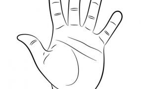 手指名称图,五个手指头的名字分别叫什么？