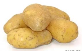 马铃薯发青能吃吗,自己种的土豆有点发青怎么回事？