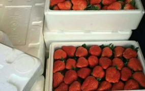 草莓营养价值,吃大棚草莓对人的健康有帮助吗？
