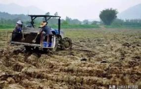 水稻种植的六个过程图,农民种植四季的过程是怎样的？