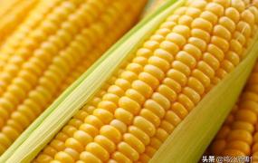 用什,玉米没上底肥用什么化肥最好？