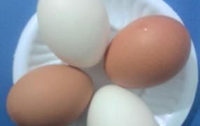 鸡蛋吃多了有什么坏处,一天吃十个鸡蛋会怎么样？