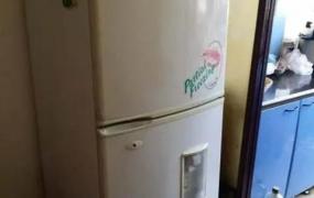 电冰箱哪个牌子好,电冰箱什么品牌的质量好？