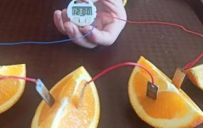 水果电池原理把什么能转化为什么能