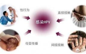 hpv传染途径,HPV的感染途径有哪些？