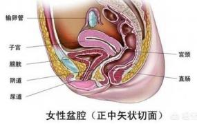 腹部九分法,下腹部ct能检查哪些疾病？
