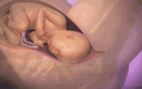 临产前的征兆有哪些,胎儿快要出生时有哪些现象？