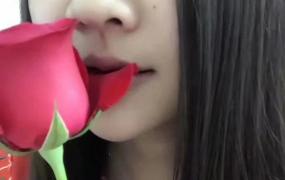 戴安娜花,玫瑰品种戴安娜如何养护？