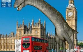 体型最大的恐龙,世界上最大的恐龙有多重？