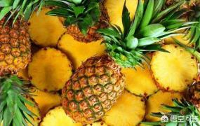 菠萝过敏,为什么有一些人吃菠萝会过敏？