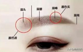 眉毛种类,眉毛的结构以及眉毛的类型？