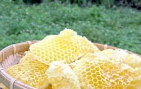 蜂蜡的作用,两年前的蜂蜡还可以诱导蜜蜂吗？