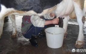 生牛乳是什么,纯牛奶和酸奶的区别是什么？