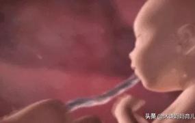 22周胎儿在腹中图片,怀孕21周胎动开始规律了吗？