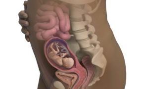 22周胎儿在腹中图片,怀孕18周胎儿是什么样子的？