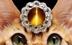 什么是猫眼石,什么是猫眼石？很珍贵的东西吗？