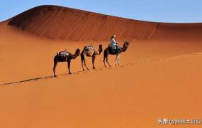 万沙浪,撒哈拉沙漠是哪个国家的领土？