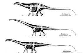 desertion,莫里逊组的大型肉食恐龙有哪些？