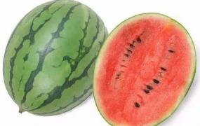 石头瓜,最好吃的西瓜品种是什么？