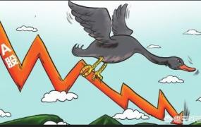 黑天鹅事件,金融市场的黑天鹅事件有哪些？