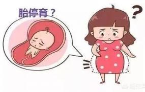 胚胎停育,胎儿停育什么原因导致的？