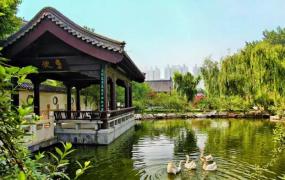 泗水桃花节,临沂市哪个县区好玩的景点多？