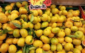 柑橘类水果,今年柑橘等水果价格会涨吗？