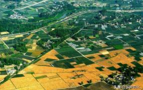 农村科技创新创业,四川农村可以发展什么产业？